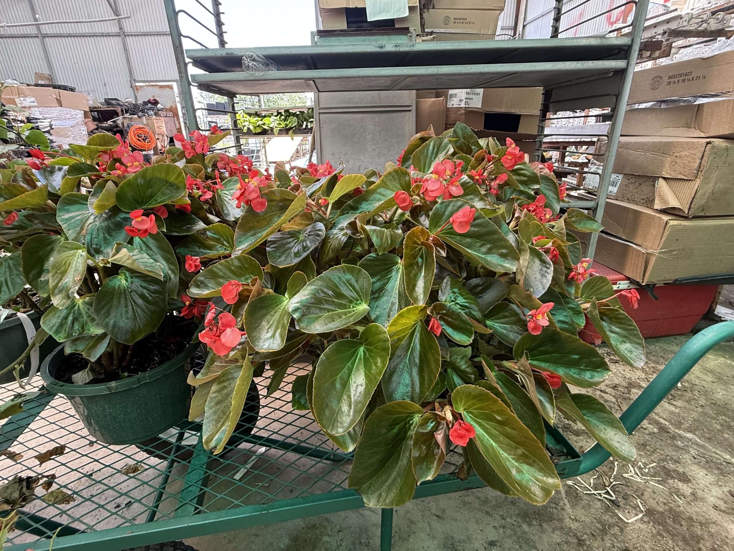 Fall Flower Basket